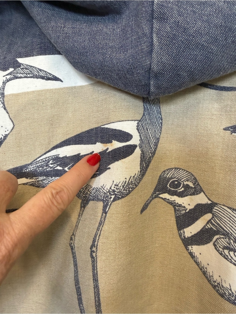 Hooded Utility Jacket with Coastal Bird Print - duck cotton.  Maine, Florida - Picture 6 of 7